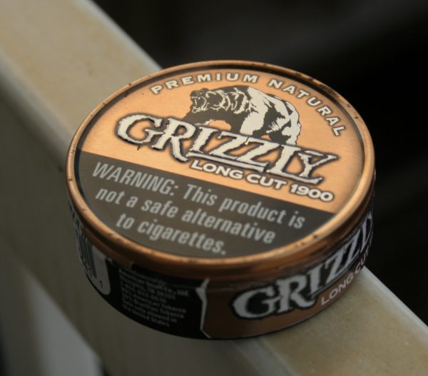 Grizzly 1900 — изображение 2