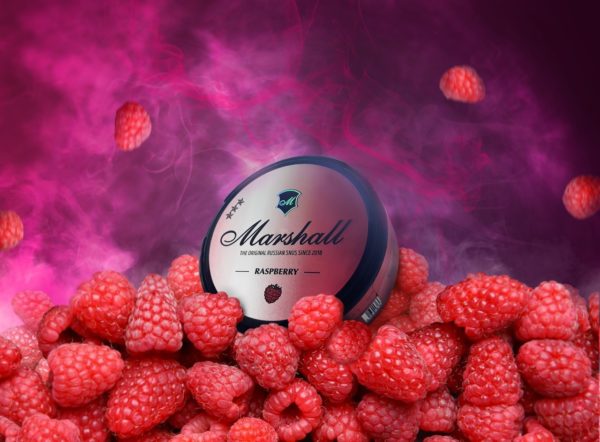 Marshall Raspberry — изображение 2